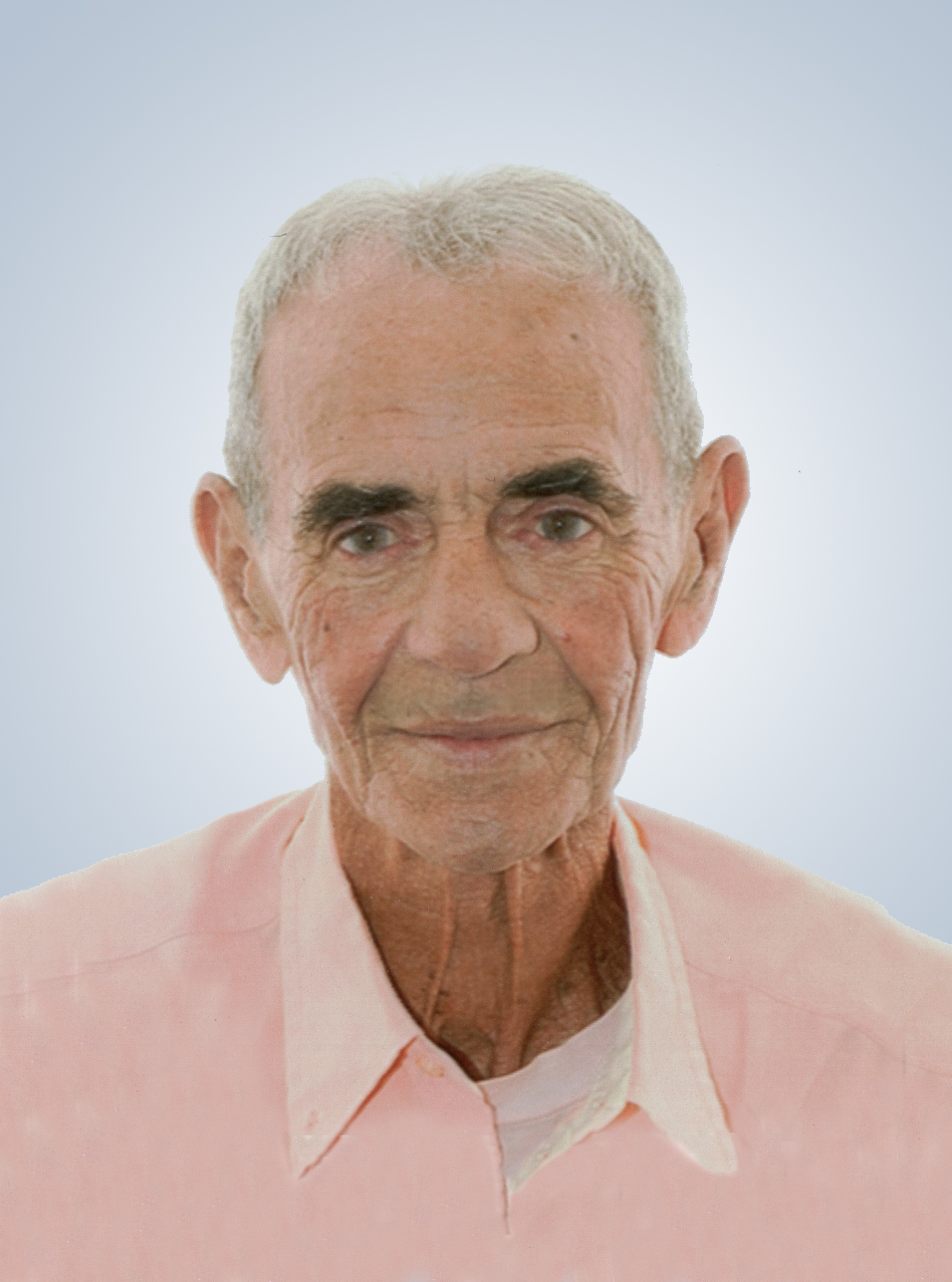 Rinaldo Meneghin